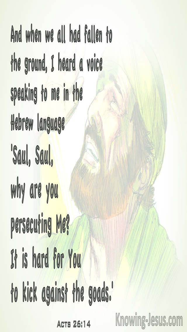Acts 26:14 Saul, Saul Why Are You Persecuting Me (white)